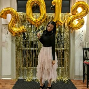 Beautiful Chiffon Skirt